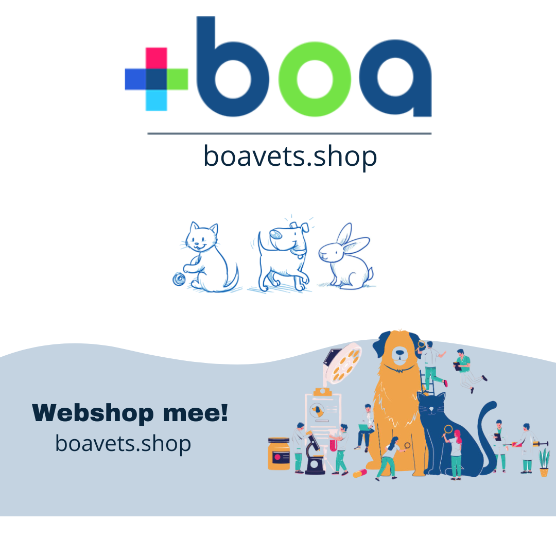 Boavets.Shop IG Hoog
