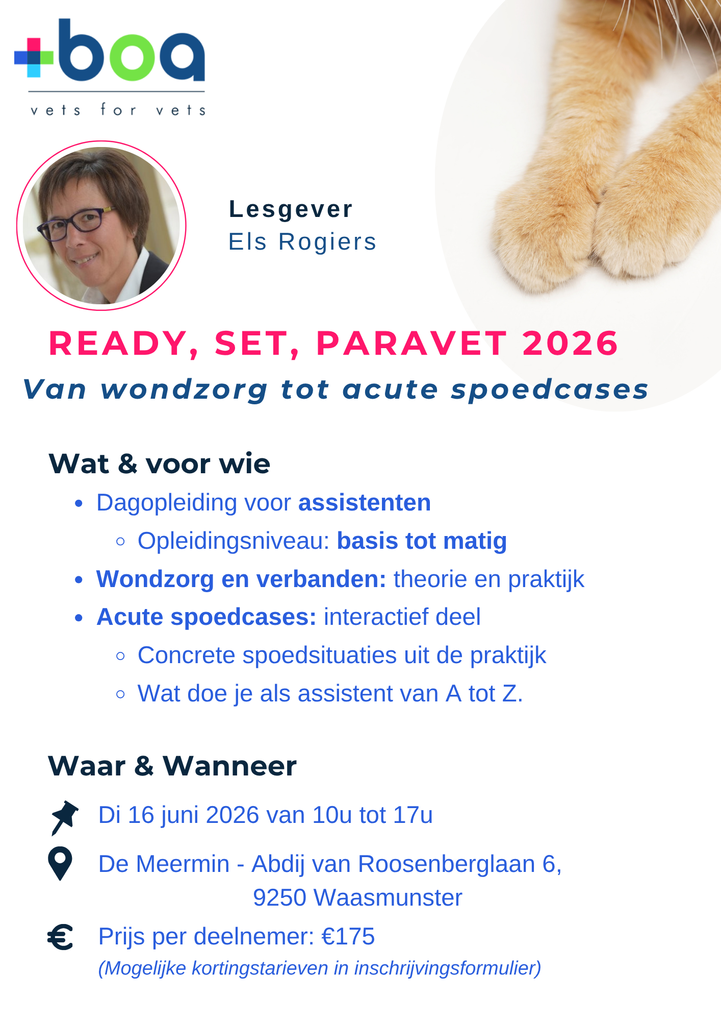 READY, SET, PARAVET 2026 A4