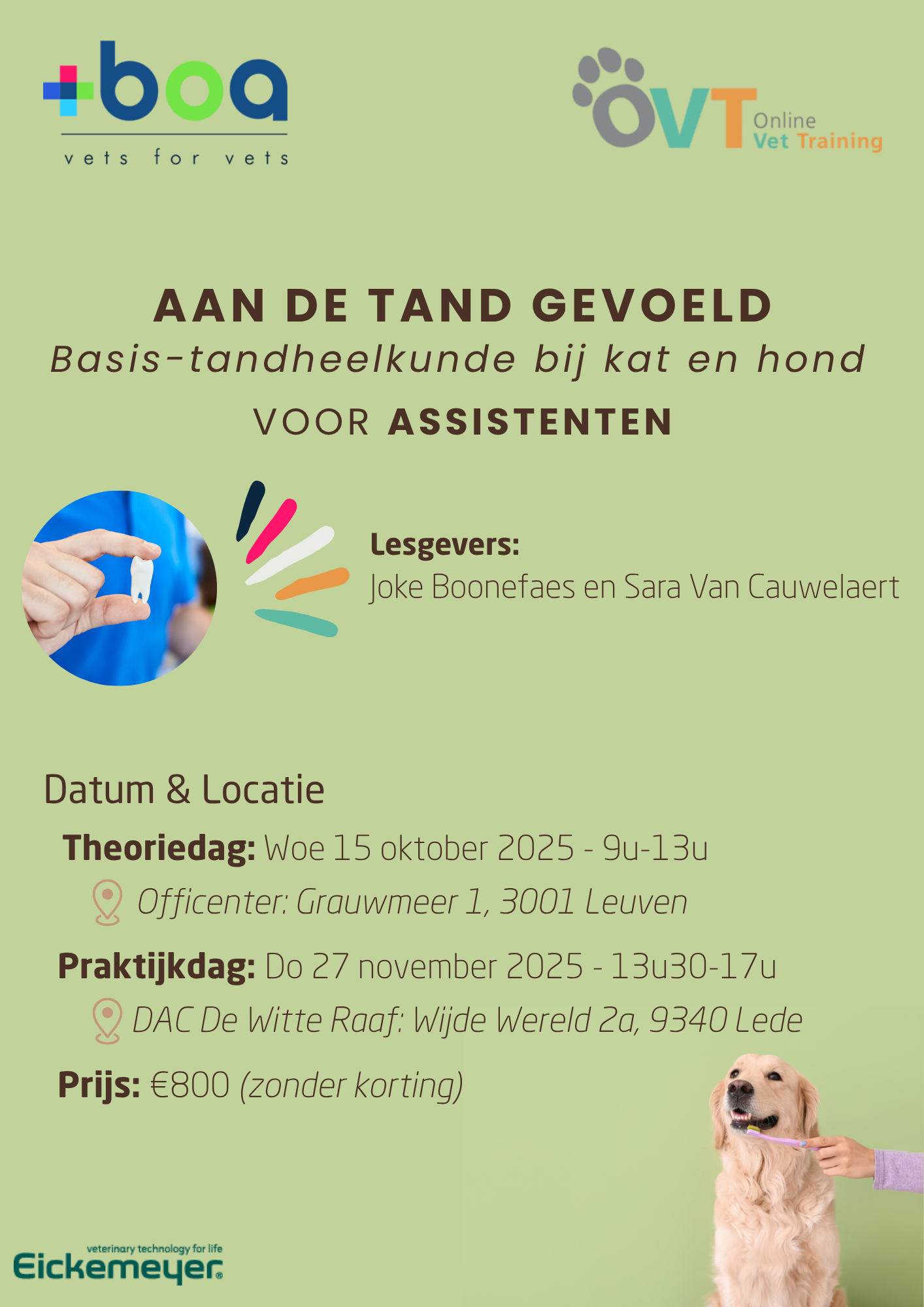 TAND Assistent A4